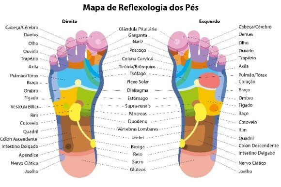 Mapa da Reflexologia